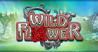 Wild Flower
